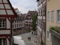 DSCN1919