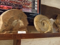2008_02040573