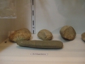 2008_02040582