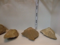 2008_02040583