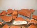 2008_02040589