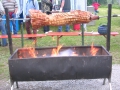 DSCN0442